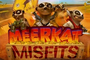 Meerkat Misfits